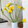 Freesia 15 Bulbs - Fragrant Single Yellow By Easy To Grow Bulbs