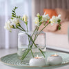 Freesia 15 Bulbs - Fragrant Single White By Easy To Grow Bulbs