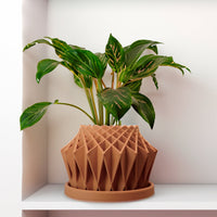 Galaxy Groove Plant Pot, Lots Of Colors To Choose From!