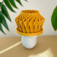 Galaxy Groove Plant Pot, Lots Of Colors To Choose From!