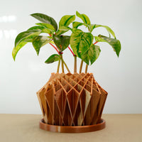 Galaxy Groove Plant Pot, Lots Of Colors To Choose From!