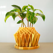 Galaxy Groove Plant Pot, Lots Of Colors To Choose From!