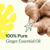 Ginger Essential Oil By Plant Therapy