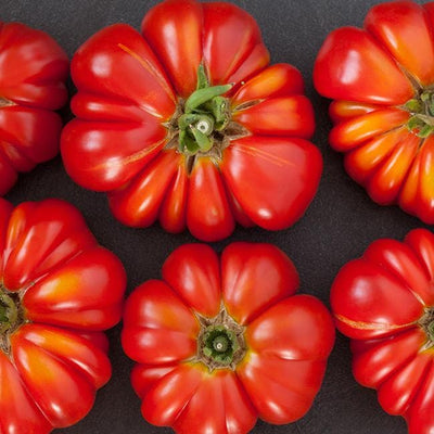 Giant German Johnson Tomato Seeds, Garden Vegetables