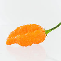 Ghorpion Peach Pepper Seeds, Garden Vegetables 650,000 SHUs