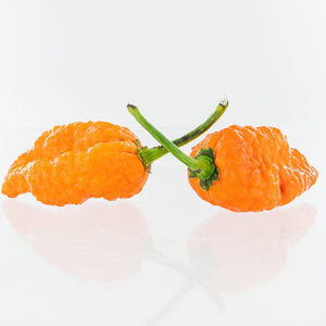 Ghorpion Peach Pepper Seeds, Garden Vegetables 650,000 SHUs