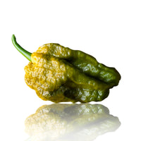 Mustard Ghost (Bhut Jolokia) Pepper Seeds, Gnarly Flaming Hot Garden Vegetables