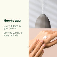Ginger Essential Oil By Plant Therapy