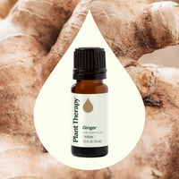 Ginger Essential Oil By Plant Therapy
