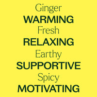 Ginger Essential Oil By Plant Therapy
