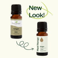 Ginger Essential Oil By Plant Therapy