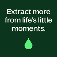 Ginger Essential Oil By Plant Therapy
