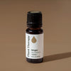 Ginger Essential Oil By Plant Therapy