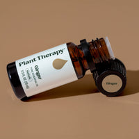 Ginger Essential Oil By Plant Therapy