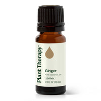 Ginger Essential Oil By Plant Therapy