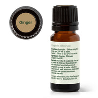Ginger Essential Oil By Plant Therapy