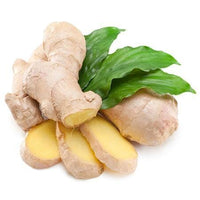 Zingiber Officinale Ginger, Live Plant For Culinary and Medicinal Uses