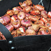 Gladiolus 10 Bulbs - Pink Pearl By Easy To Grow Bulbs