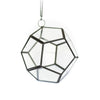 DIY Glass Pentagon Terrarium
