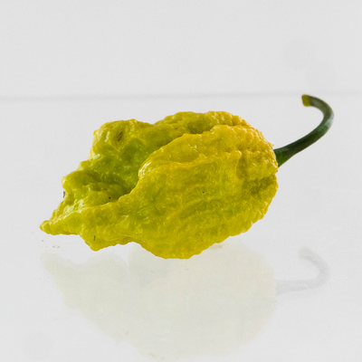 Golden Reaper Pepper Seeds, Super Hot Garden Vegetables