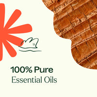 Grounded Foundation (Root Chakra) Essential Oil By Plant Therapy