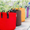 Grow Bags - 7 Gallon Colored Fabric Pots By Bootstrap Farmer