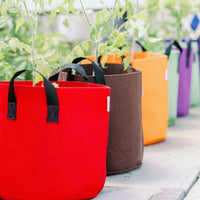 Grow Bags - 7 Gallon Colored Fabric Pots By Bootstrap Farmer