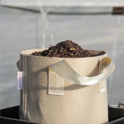 2 Gal Grow Bag - Tan By Bootstrap Farmer