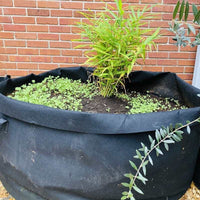 Grow Bags - 200 Gallon By Bootstrap Farmer