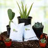 Cactus and Succulent Plant Growers Soil By The Cactus Outlet
