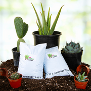 Cactus and Succulent Plant Growers Soil By The Cactus Outlet