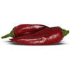 Guajillo Pepper Seeds, Mild & Popular Garden Vegetables