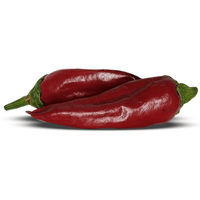 Guajillo Pepper Seeds, Mild & Popular Garden Vegetables