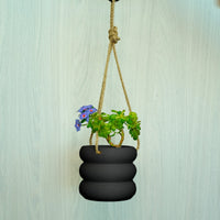 Hanging Bubble Plant Pot With Size & Colors Options