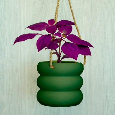 Hanging Bubble Plant Pot With Size & Colors Options