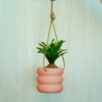 Hanging Bubble Plant Pot With Size & Colors Options