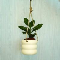 Hanging Bubble Plant Pot With Size & Colors Options