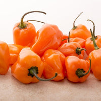 Habanero Chili Pepper Seeds, Serious Garden Vegetables