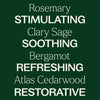 Hair Growth Essential Oil Blend - Shampoo Booster By Plant Therapy