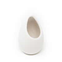 Small Ivory Ceramic Container - Choose Your Custom Tillandsia Air Plant