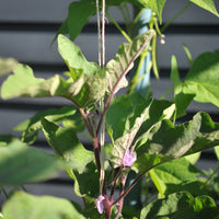 Hemp garden twine - medium roll