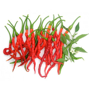 Himo Togarashi Mild Pepper Seeds, Japanese Garden Vegetables