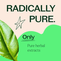 Holy Basil Herbal Supplement - 120 Capsules By Plant Therapy
