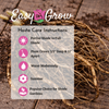 Hosta - Glad Rags - 3 Live Roots