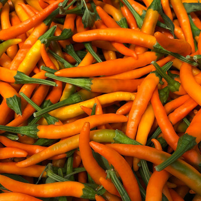 Orange Cayenne Pepper Seeds, Garden Vegetables