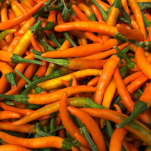 Orange Cayenne Pepper Seeds, Garden Vegetables