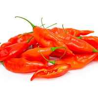 Hot Paper Lantern Pepper Seeds, Garden Vegetables