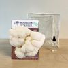 3 Pack - Premium Lion's Mane, Pink, and Blue Oyster Mushroom Growing Kit - 15 LBS