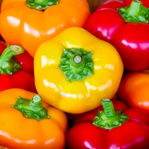 Hungarian Cheese Mix Pepper Seeds, Garden Vegetables