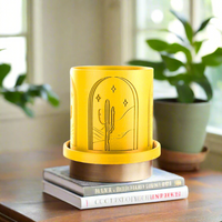 Cactus Planter With Size & Color Options